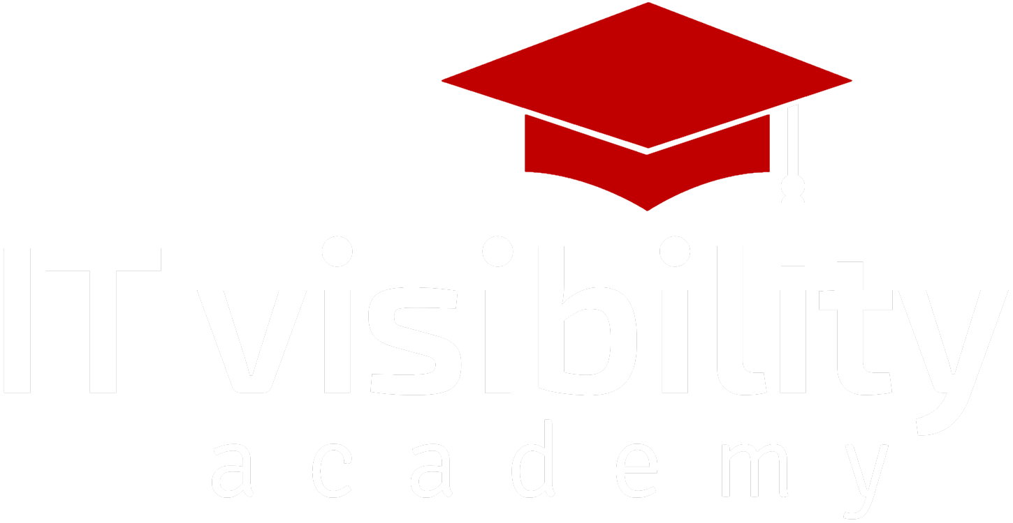 it-visibility logo